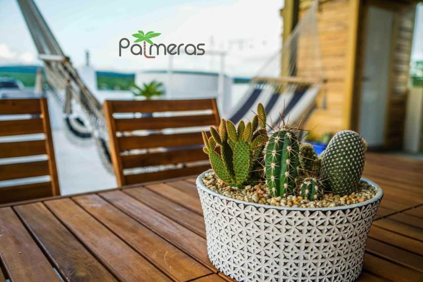 Palmeras Beach Apartments - Playa Santa Guánica Rum bild